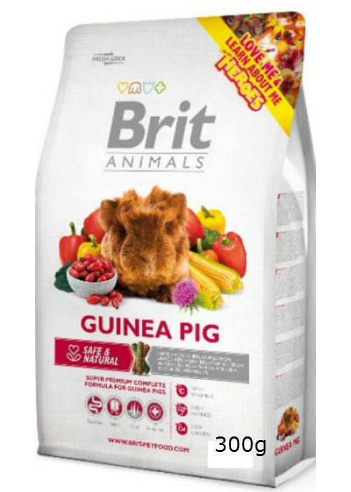 Brit Guinea Pig 